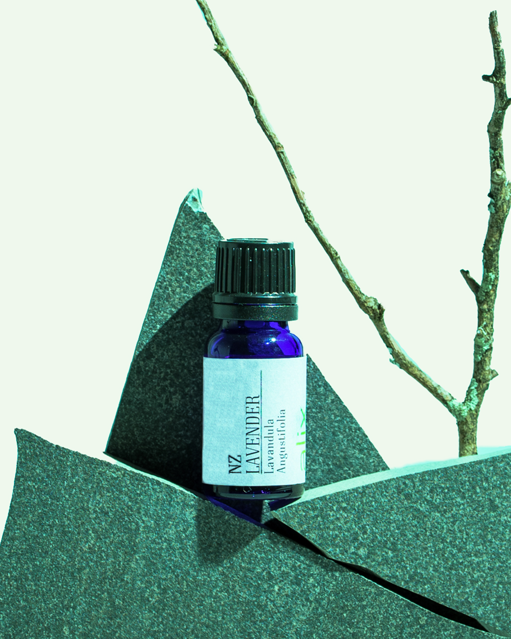 Bath Bliss w/ Lavender Essential Oil